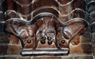 A Toldy, k&eacute;pekben