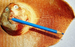 Thury Levente &eacute;s a Toldy g&oacute;leme